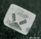 他の写真1: 天然ダイアモンド結晶原石＊0.208ct＊完全・等軸晶系＊無色