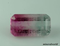 画像1: 天然バイカラートルマリン＊0.70ct＊ブラジル産
