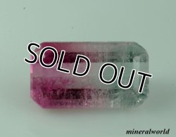 画像1: 天然バイカラートルマリン＊0.70ct＊ブラジル産
