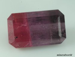 画像1: 天然バイカラートルマリン＊2.10ct＊ブラジル産