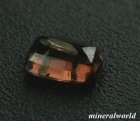 他の写真2: ブラウン・サファリン＊スリランカ産　＊0.632ct＊日独宝石研究所のソーティイング付き