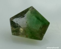 画像1: パーティーカラー・アキシナイト＊パキスタン産＊0.203ct＊日独宝石研究所のソーテイング付き