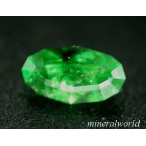 画像: 天然グリーン・ガーネット（ツァボライト）＊0.89ct＊ケニア産＊未処理