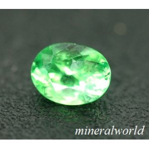 画像: 天然グリーン・ガーネット（ツァボライト）＊0.36ct＊ケニア産＊未処理