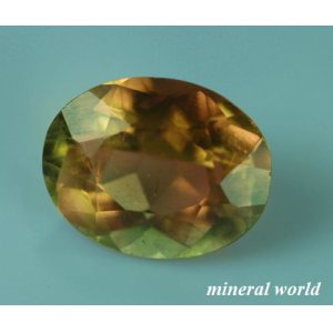 画像: 天然バイカラー・トルマリン＊ブラジル産＊1.73ct＊未処理