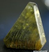 画像: 天然オリビン＊6.70ct＊未処理＊スリランカ産