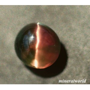 画像: 天然バイカラー・トルマリン・キャッツアイ＊ブラジル産＊1.12ct＊未処理