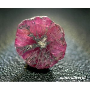 画像: 天然・非加熱トラピッチェ・ルビー＊0.67ct＊ビルマ産