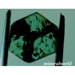 画像: 天然トラピッチェ・トルマリン（メルセデス模様）＊0.57ct＊サンビア産