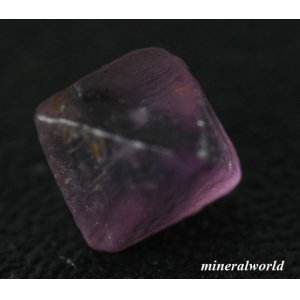 画像: 天然ラベンダー・パープル・スピネル結晶（等軸晶系）＊0.90ct＊スリランカ産