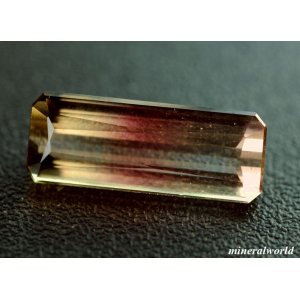 画像: 珍しい色合い＊天然バイカラー・トルマリン＊2.41ct＊無処理＊モザンビーク産