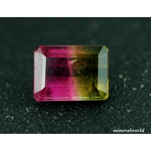 画像: 天然バイカラートルマリン＊0.91ct＊未処理＊ブラジル産＊無処理