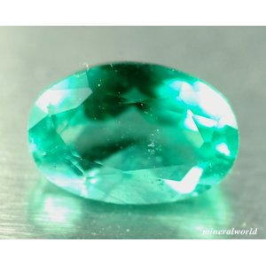 画像: 天然ネオン・グリーン・アパタイト＊1.28ct＊タンザニア産